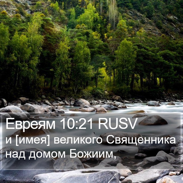 Евреям 10:21 RUSV Bible Study