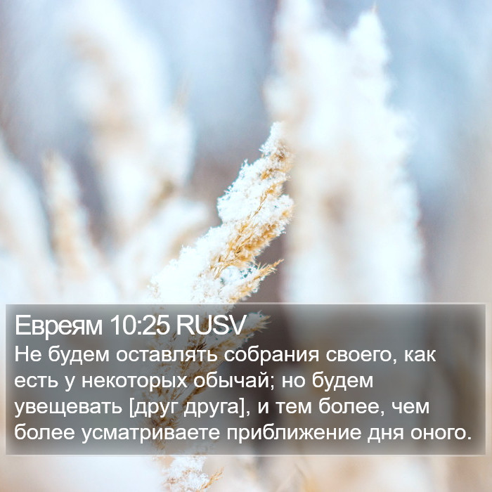 Евреям 10:25 RUSV Bible Study