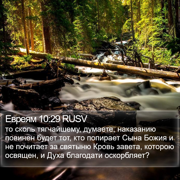 Евреям 10:29 RUSV Bible Study