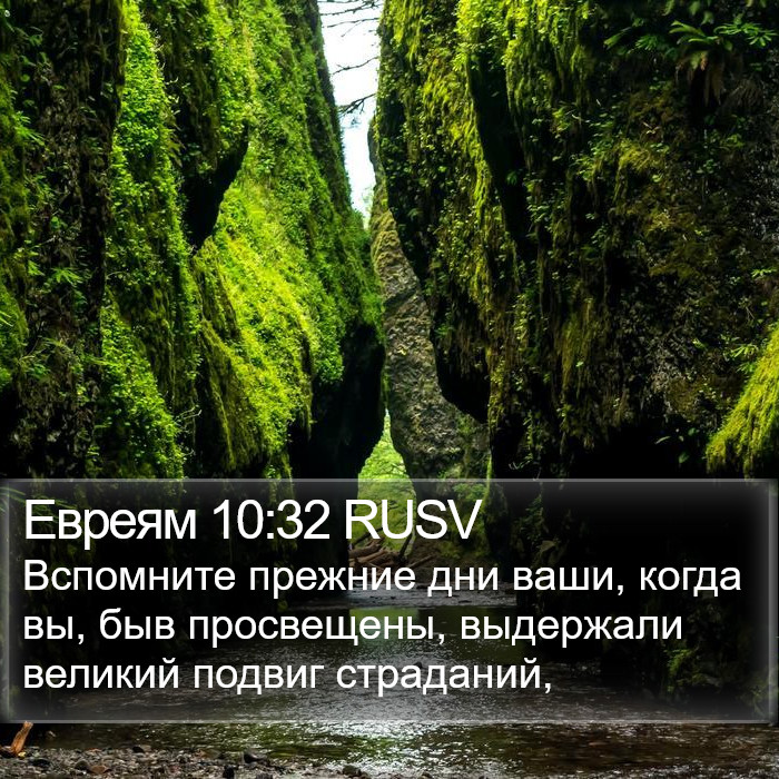 Евреям 10:32 RUSV Bible Study