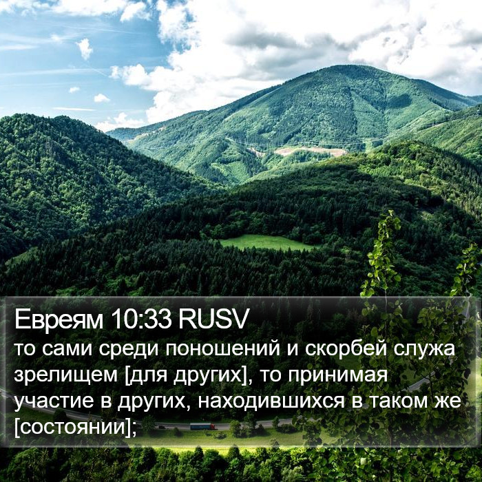 Евреям 10:33 RUSV Bible Study