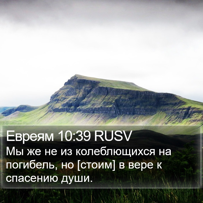 Евреям 10:39 RUSV Bible Study