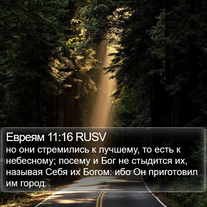 Евреям 11:16 RUSV Bible Study