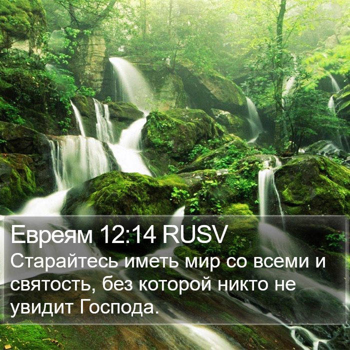 Евреям 12:14 RUSV Bible Study