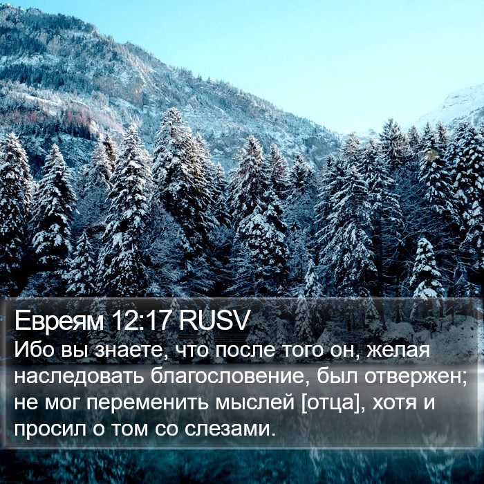 Евреям 12:17 RUSV Bible Study