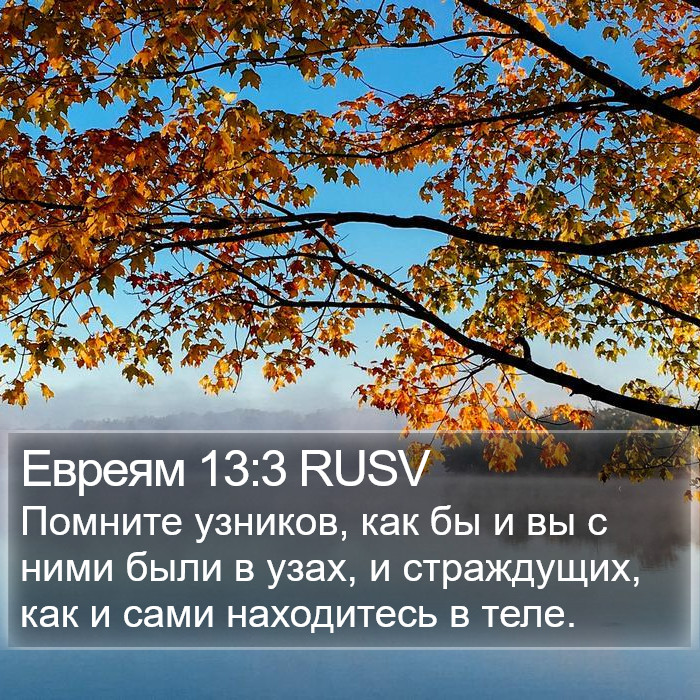 Евреям 13:3 RUSV Bible Study