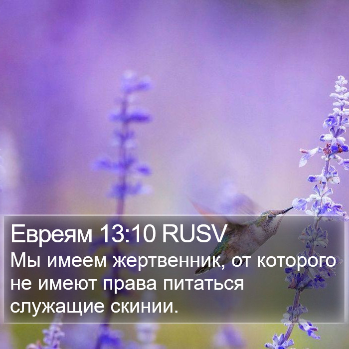 Евреям 13:10 RUSV Bible Study