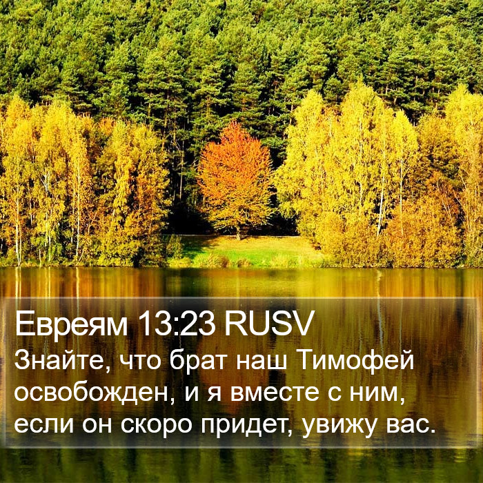 Евреям 13:23 RUSV Bible Study