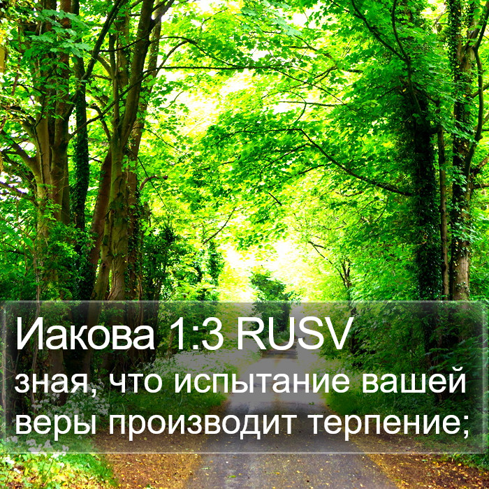 Иакова 1:3 RUSV Bible Study