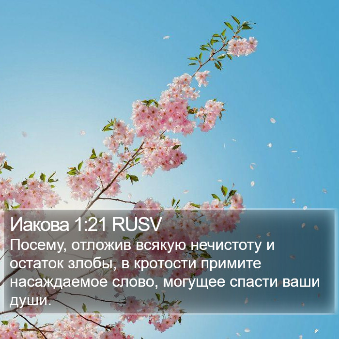 Иакова 1:21 RUSV Bible Study