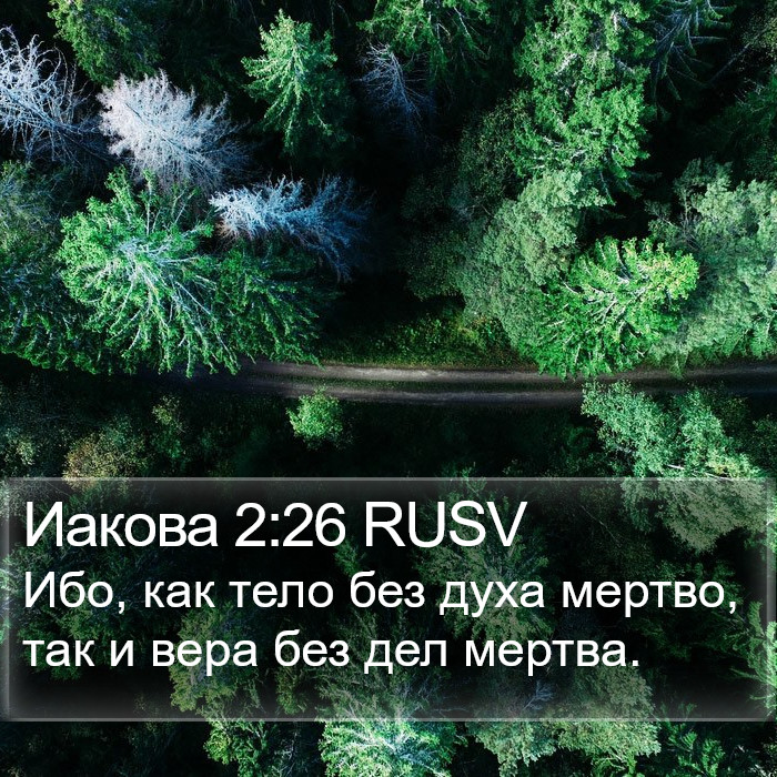 Иакова 2:26 RUSV Bible Study