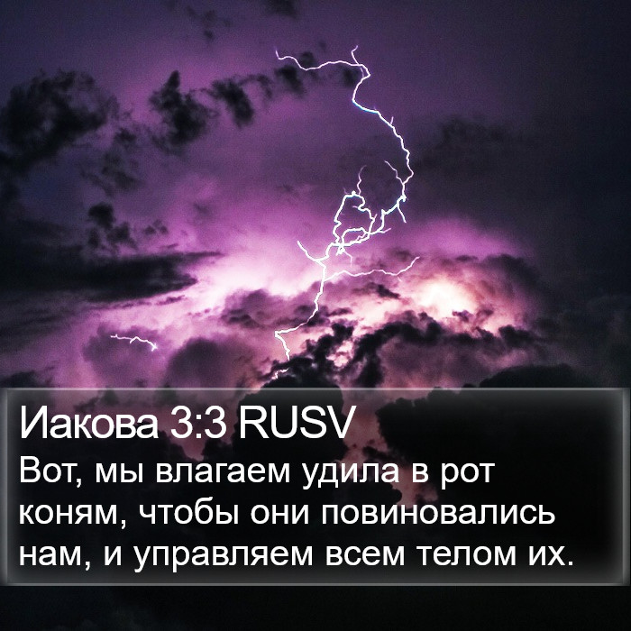 Иакова 3:3 RUSV Bible Study