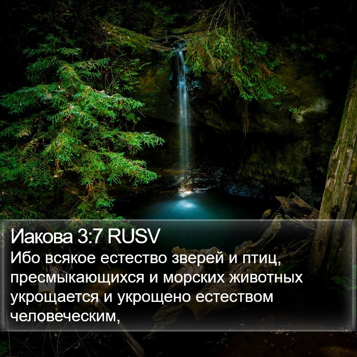 Иакова 3:7 RUSV Bible Study