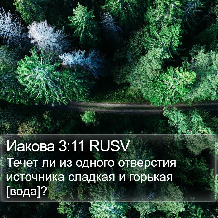 Иакова 3:11 RUSV Bible Study