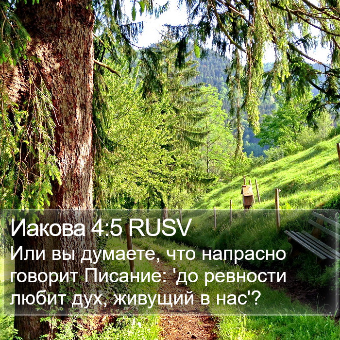 Иакова 4:5 RUSV Bible Study