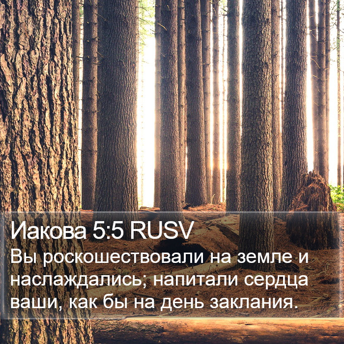 Иакова 5:5 RUSV Bible Study