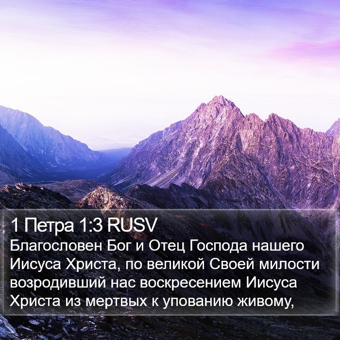 1 Петра 1:3 RUSV Bible Study