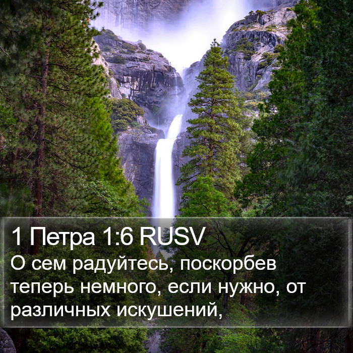 1 Петра 1:6 RUSV Bible Study