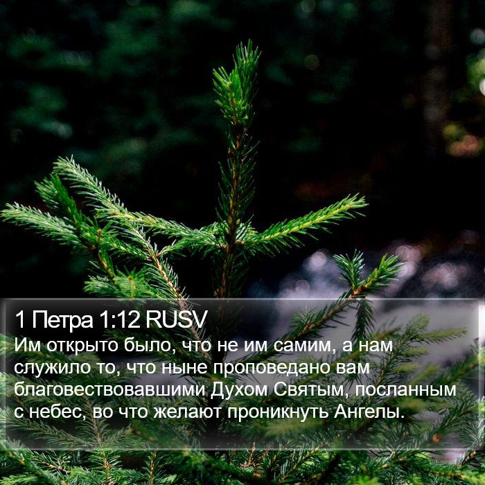 1 Петра 1:12 RUSV Bible Study