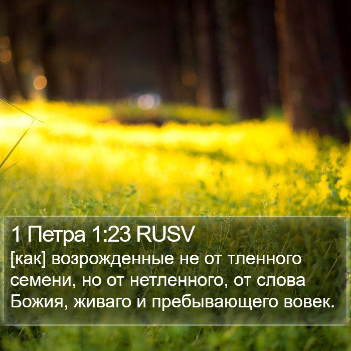 1 Петра 1:23 RUSV Bible Study