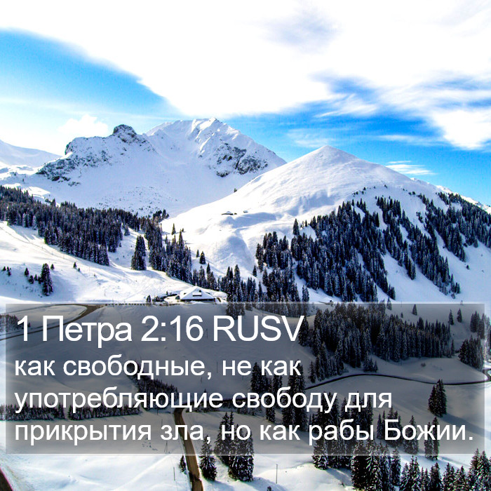 1 Петра 2:16 RUSV Bible Study