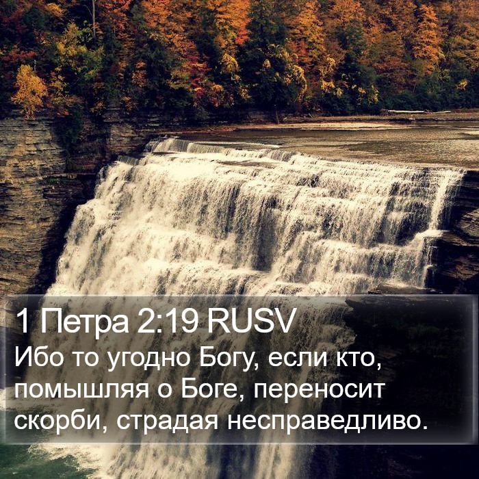 1 Петра 2:19 RUSV Bible Study