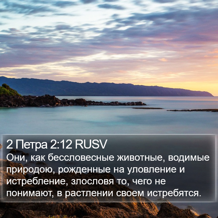 2 Петра 2:12 RUSV Bible Study