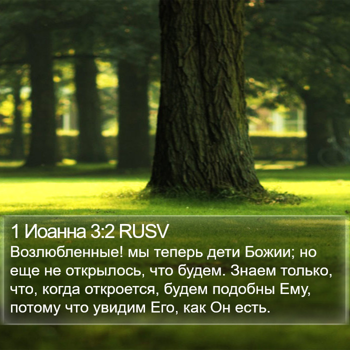 1 Иоанна 3:2 RUSV Bible Study