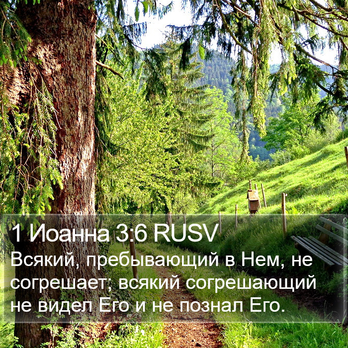 1 Иоанна 3:6 RUSV Bible Study