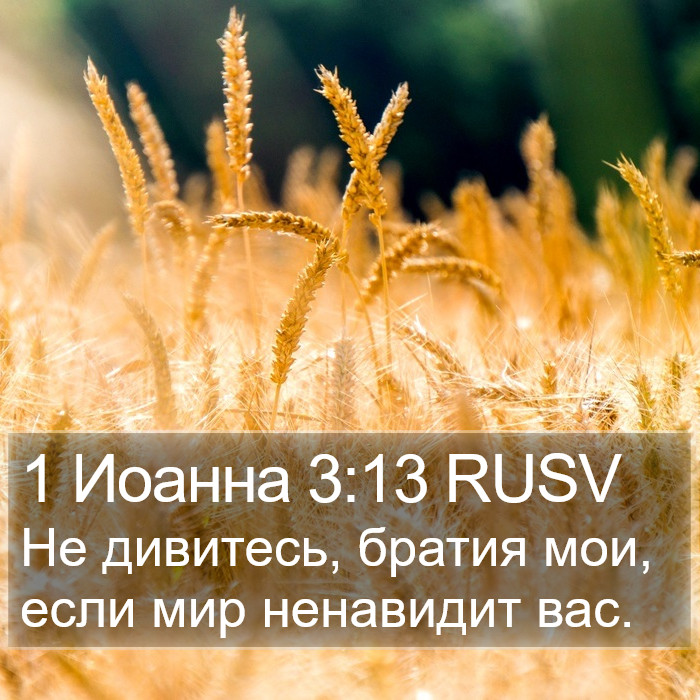 1 Иоанна 3:13 RUSV Bible Study