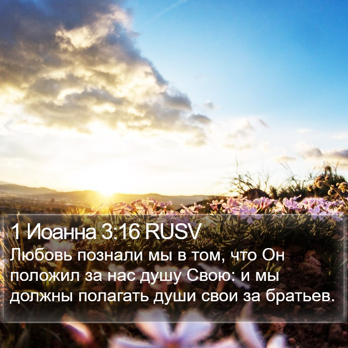 1 Иоанна 3:16 RUSV Bible Study