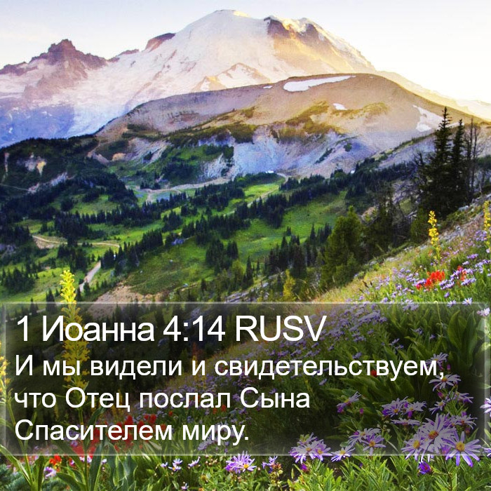 1 Иоанна 4:14 RUSV Bible Study