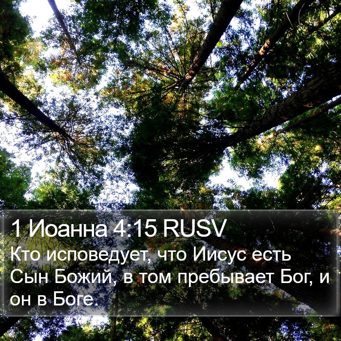 1 Иоанна 4:15 RUSV Bible Study
