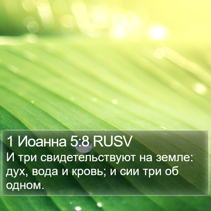 1 Иоанна 5:8 RUSV Bible Study