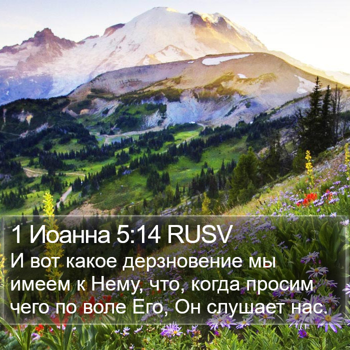 1 Иоанна 5:14 RUSV Bible Study