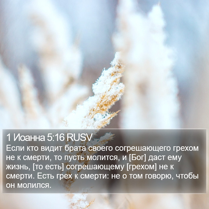 1 Иоанна 5:16 RUSV Bible Study