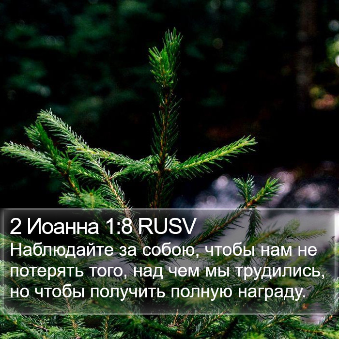 2 Иоанна 1:8 RUSV Bible Study