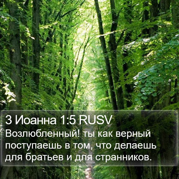 3 Иоанна 1:5 RUSV Bible Study