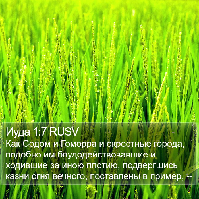 Иуда 1:7 RUSV Bible Study