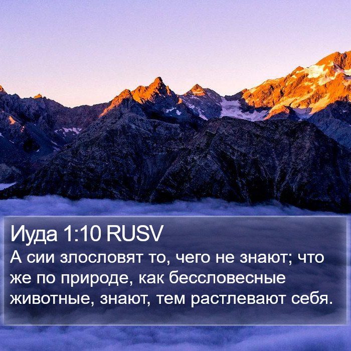 Иуда 1:10 RUSV Bible Study