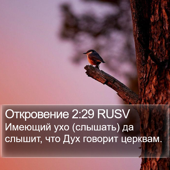 Откровение 2:29 RUSV Bible Study