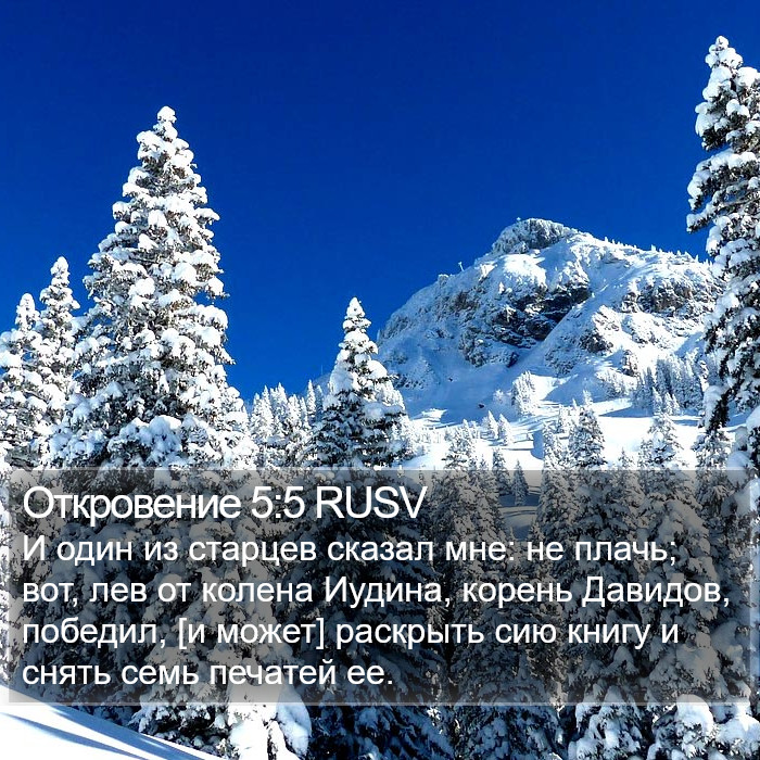 Откровение 5:5 RUSV Bible Study