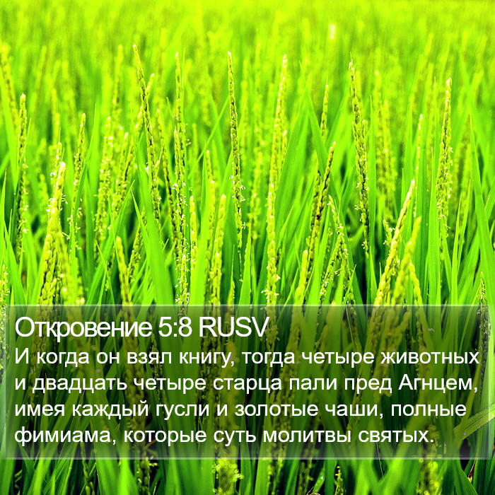 Откровение 5:8 RUSV Bible Study