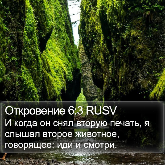 Откровение 6:3 RUSV Bible Study