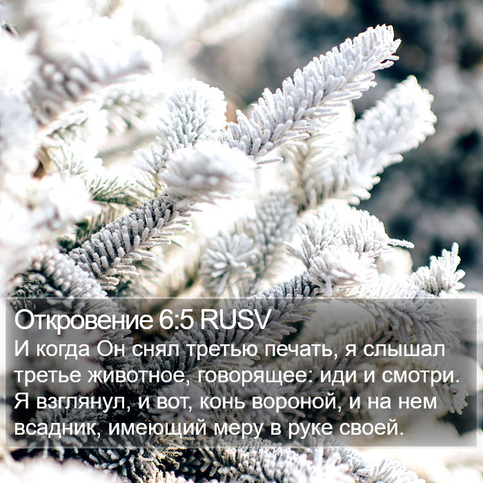 Откровение 6:5 RUSV Bible Study