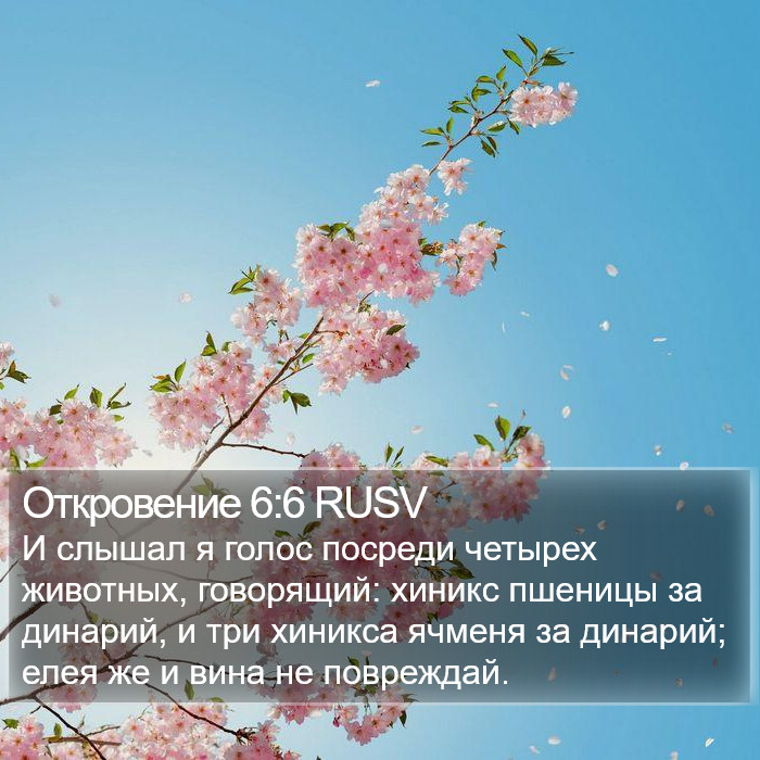 Откровение 6:6 RUSV Bible Study