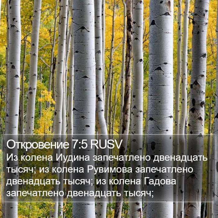 Откровение 7:5 RUSV Bible Study