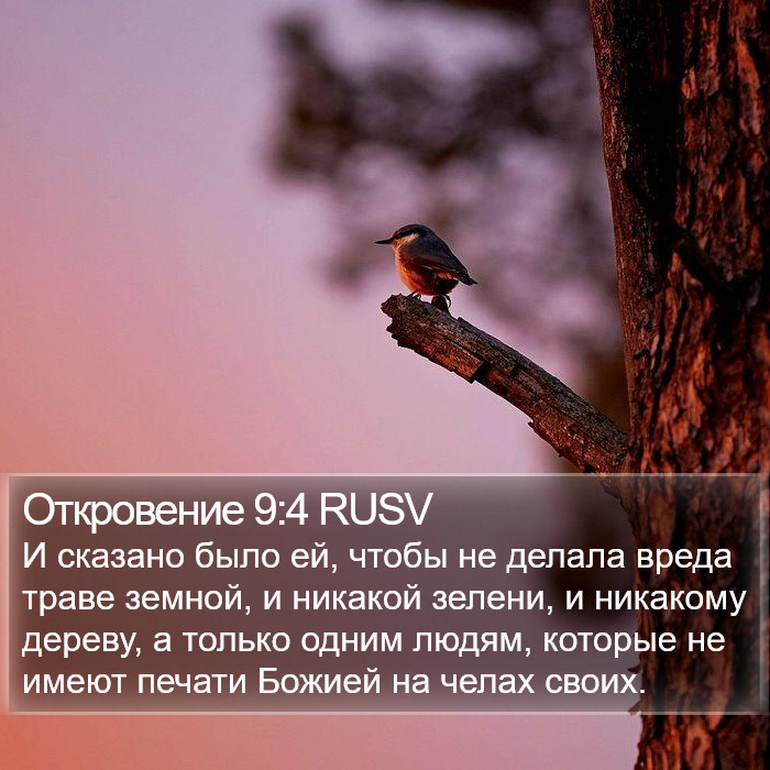 Откровение 9:4 RUSV Bible Study