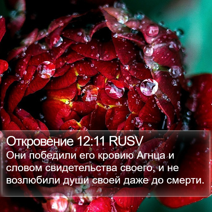Откровение 12:11 RUSV Bible Study