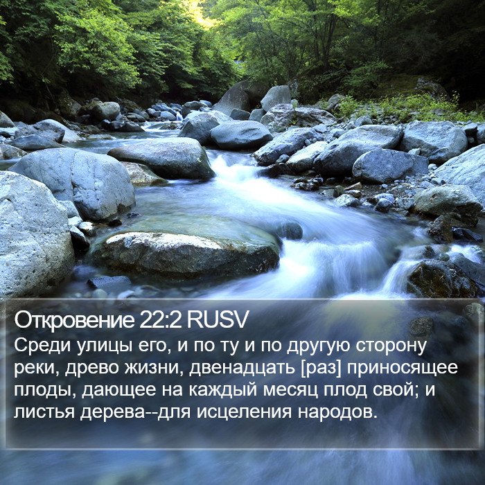 Откровение 22:2 RUSV Bible Study